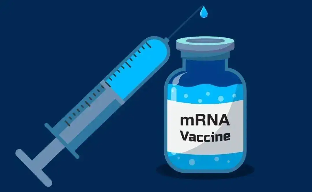 SCICONS | mRNA疫苗生產(chǎn)中雙鏈RNA (dsRNA)殘留檢測(cè)方案